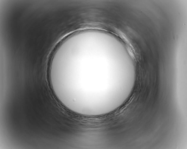 X0000088711312200705311031