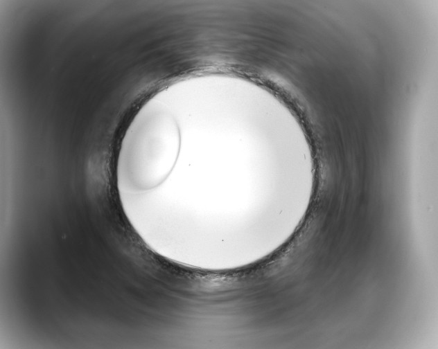 X0000088711314200705311031