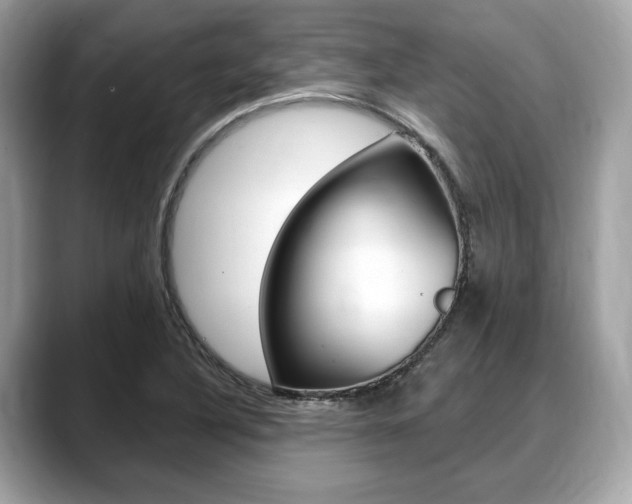 X0000088711316200705311031