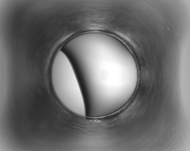 X0000088711317200705311031