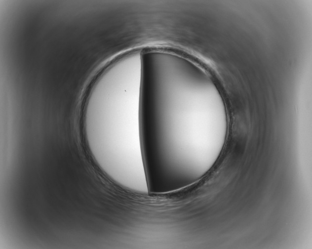 X0000088711319200705311031