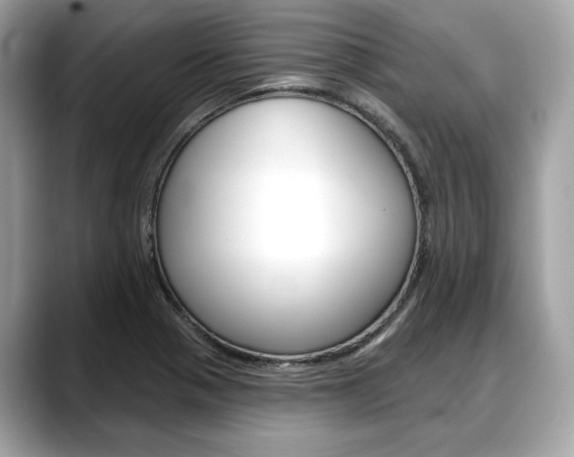X0000088711321200705311031