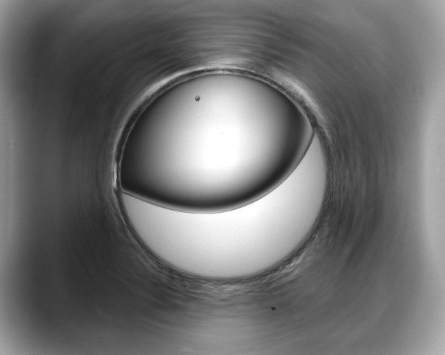 X0000088711324200705311031