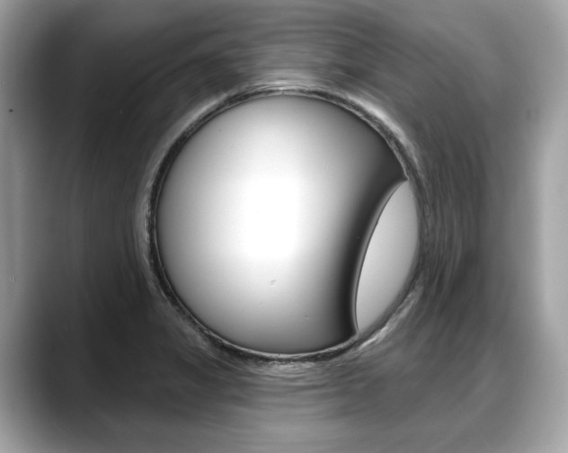 X0000088711325200705311031