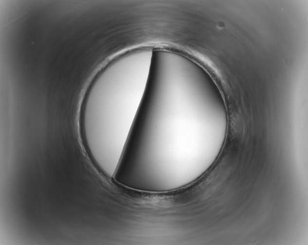 X0000088711327200705311031