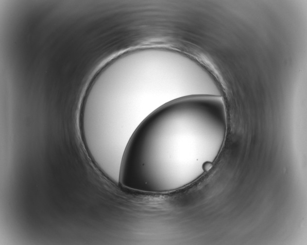 X0000088711328200705311031