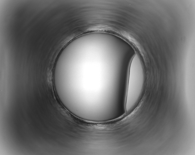 X0000088711329200705311032