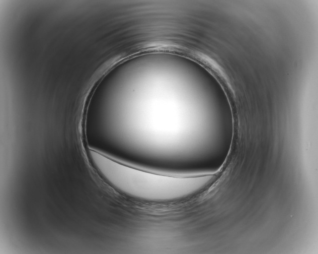 X0000088711330200705311032