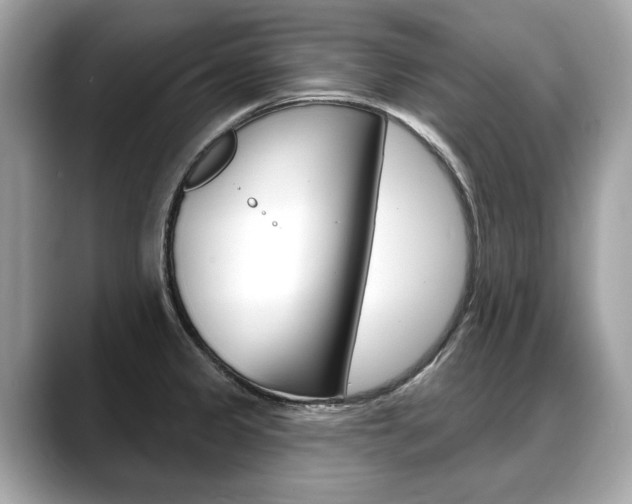 X0000088711333200705311032