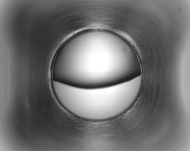 X0000088711335200705311032