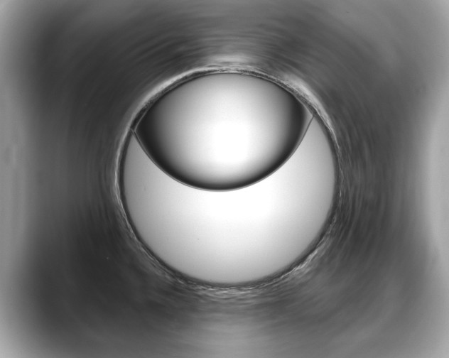 X0000088711336200705311032