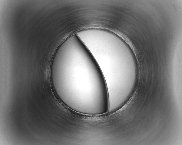 X0000088711337200705311032