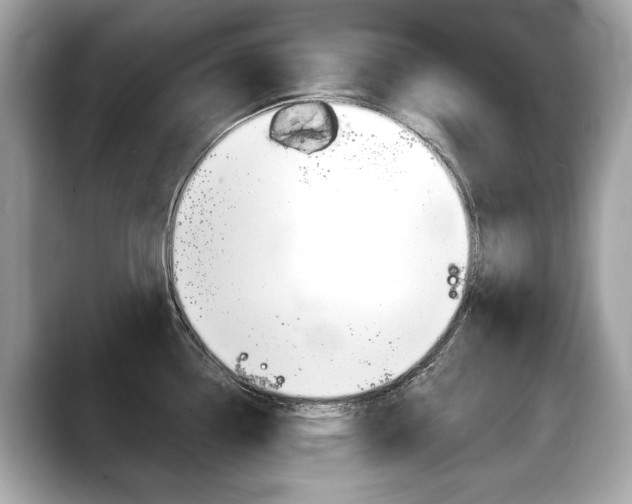 X0000088711338200705311032