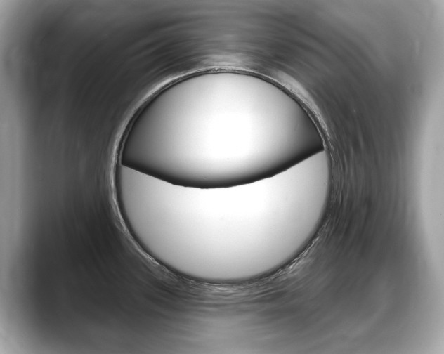 X0000088711339200705311032
