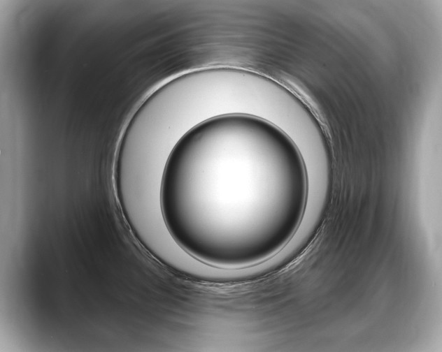 X0000088711340200705311032