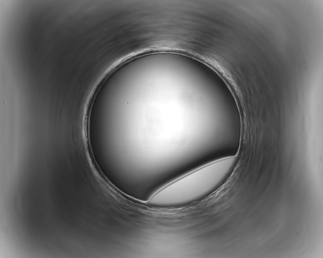 X0000088711342200705311032