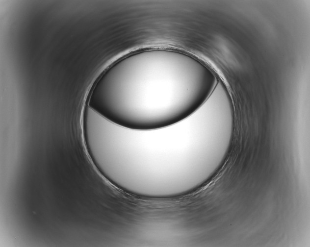 X0000088711343200705311032
