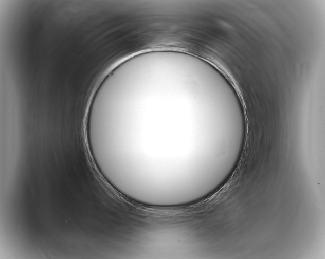 X0000088711344200705311032