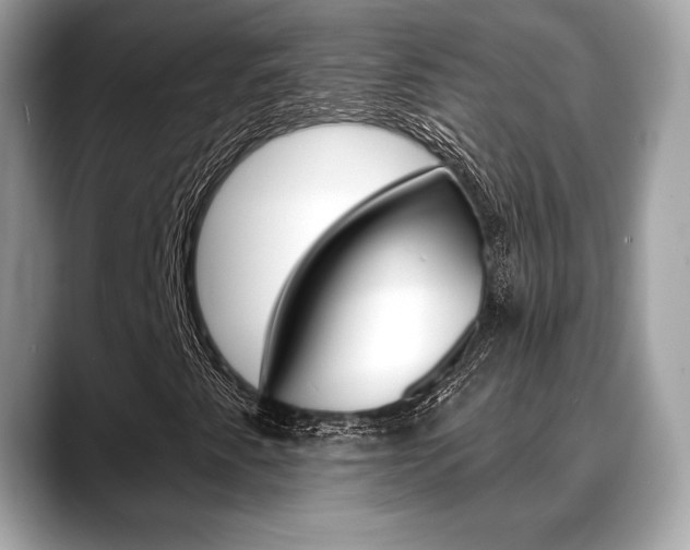 X0000088711345200705311031
