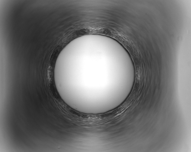 X0000088711346200705311031