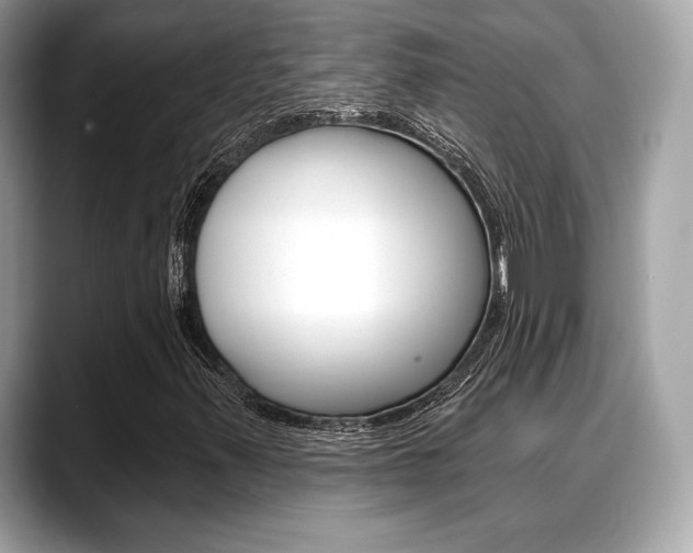 X0000088711347200705311031