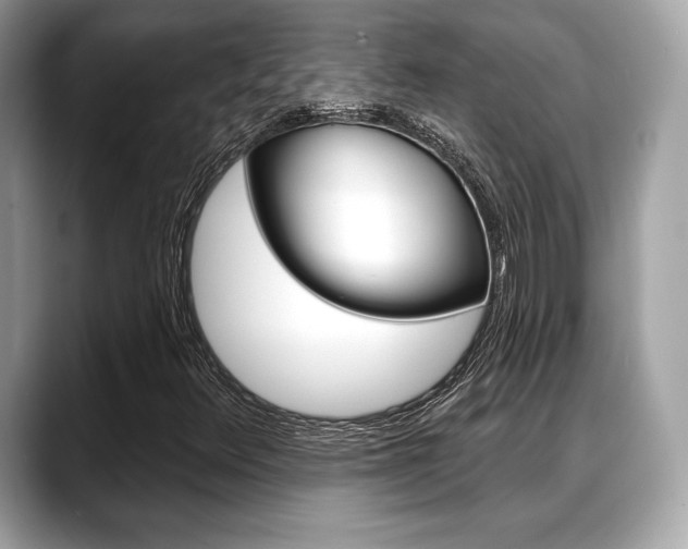 X0000088711348200705311031