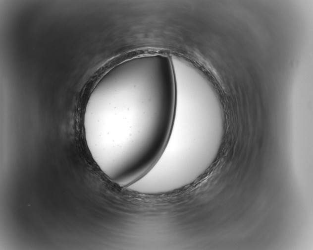 X0000088711352200705311031