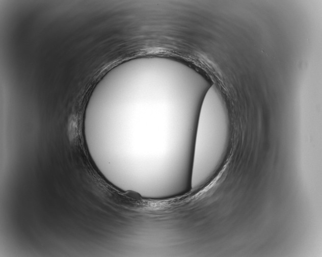X0000088711353200705311031