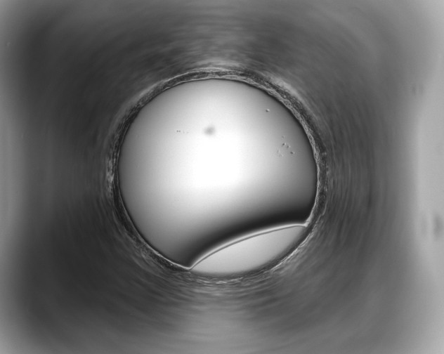 X0000088711355200705311031