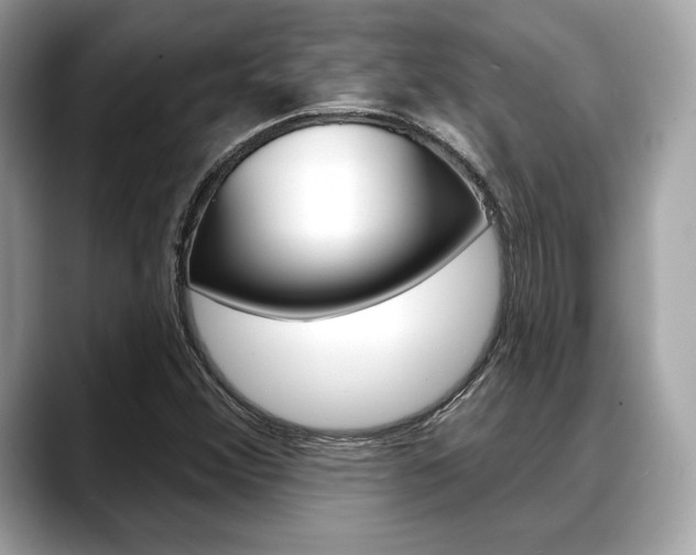 X0000088711356200705311031