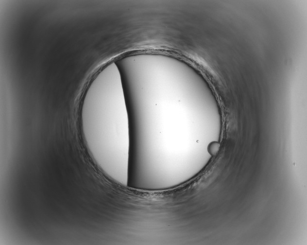 X0000088711358200705311031