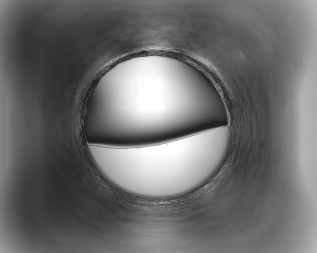 X0000088711359200705311031