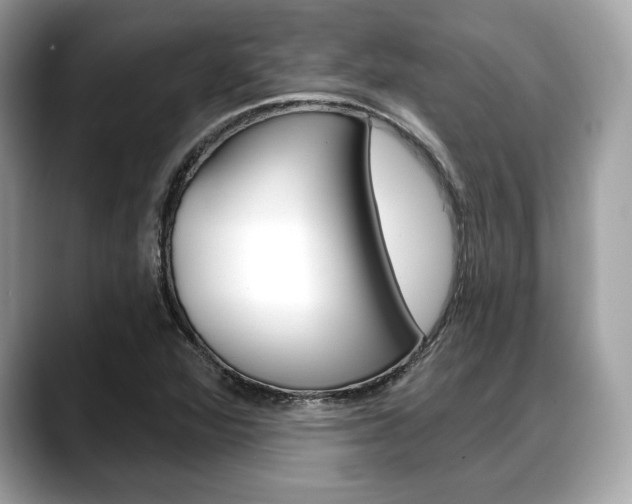 X0000088711360200705311031