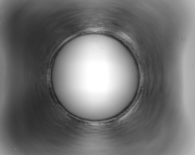 X0000088711361200705311031