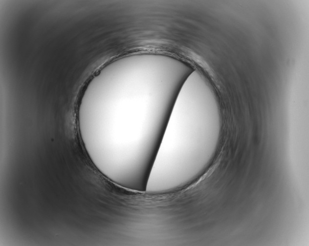 X0000088711362200705311031