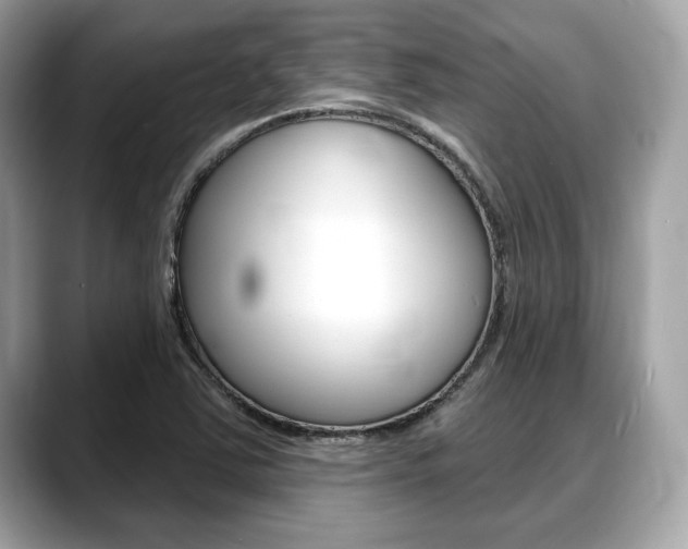 X0000088711363200705311031