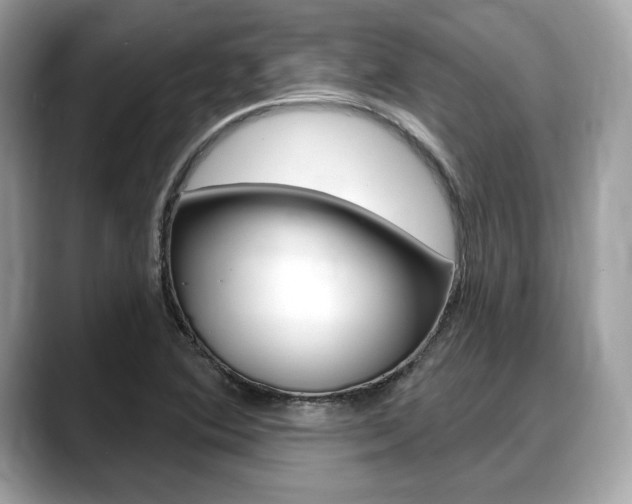X0000088711364200705311031