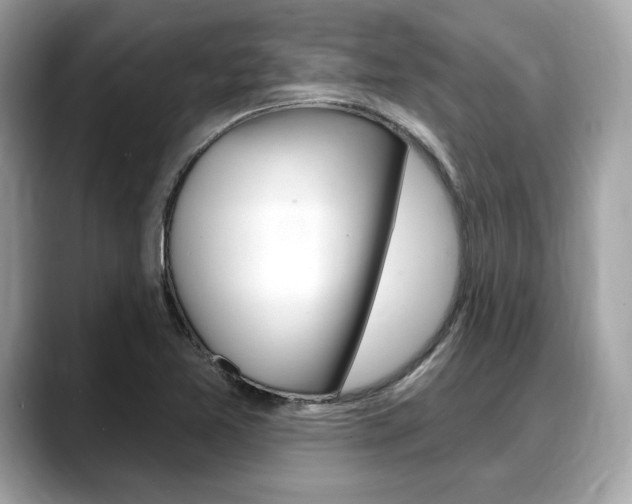 X0000088711365200705311031