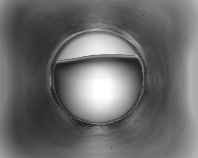 X0000088711368200705311031
