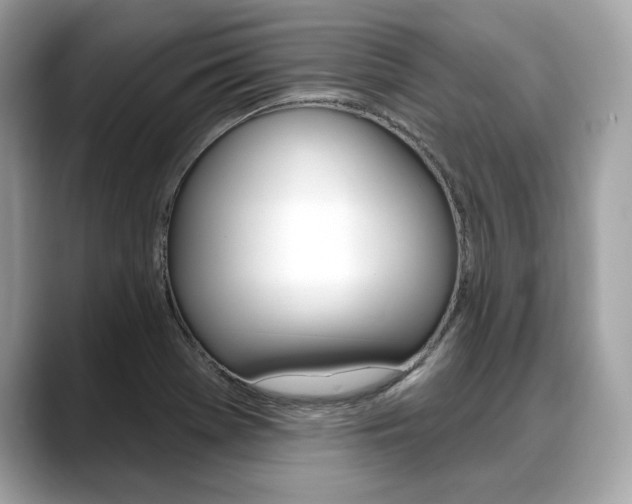 X0000088711369200705311031