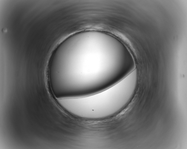 X0000088711373200705311031