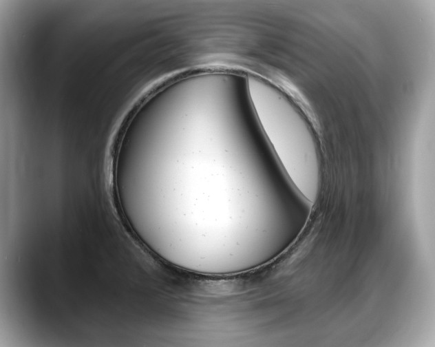X0000088711376200705311031