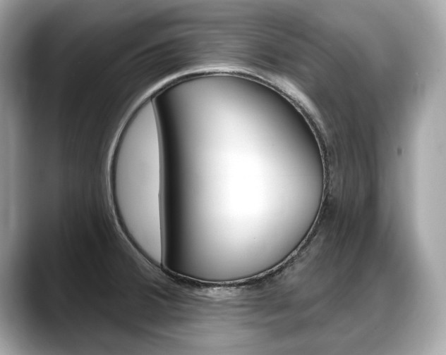 X0000088711380200705311031