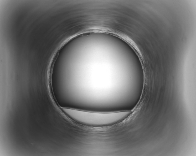 X0000088711381200705311031