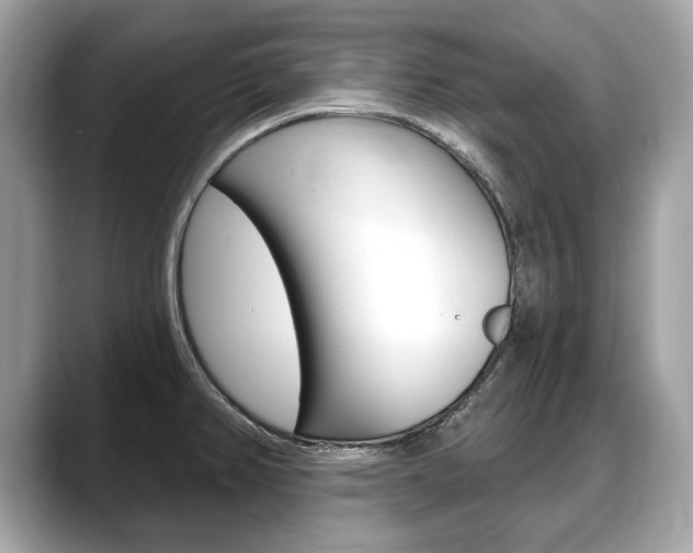 X0000088711382200705311031