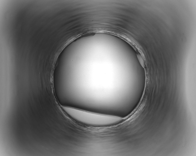 X0000088711385200705311030