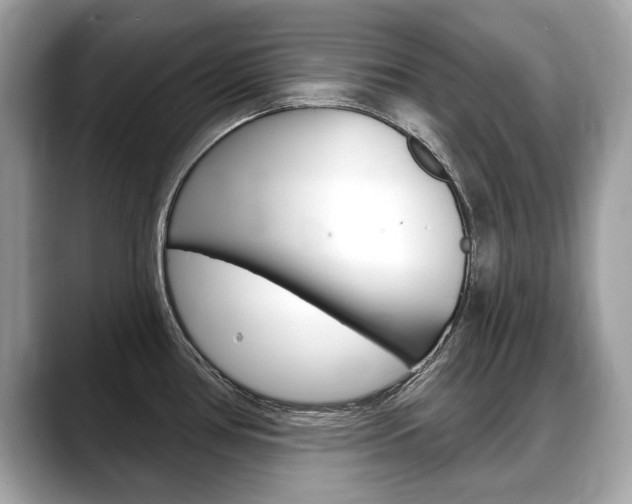 X0000088711386200705311030