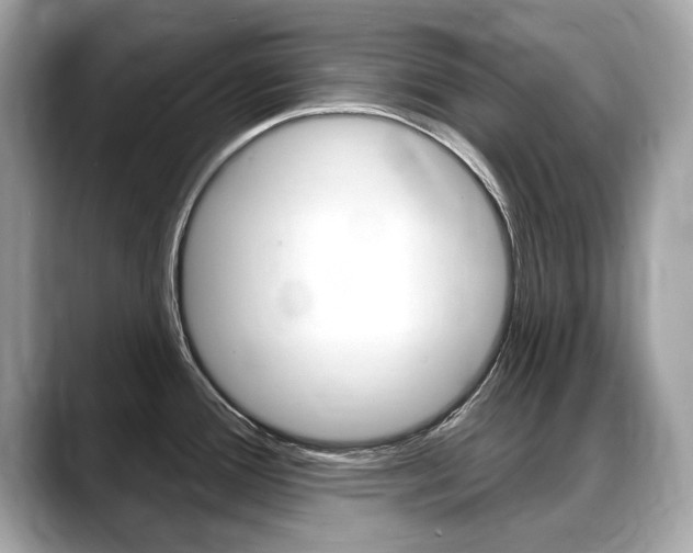 X0000088711388200705311030