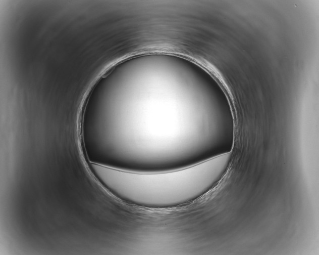 X0000088711389200705311030