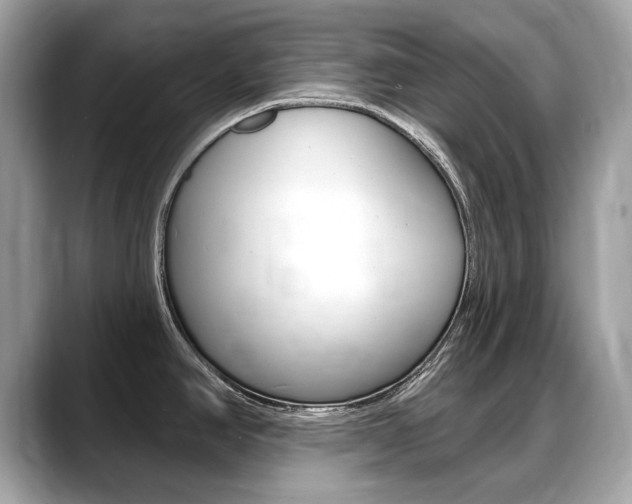 X0000088711390200705311030